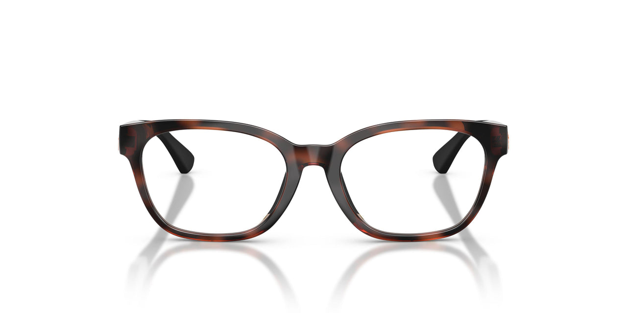 5974 - Tortoise