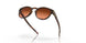 926560 - Brown - Prizm Brown Gradient