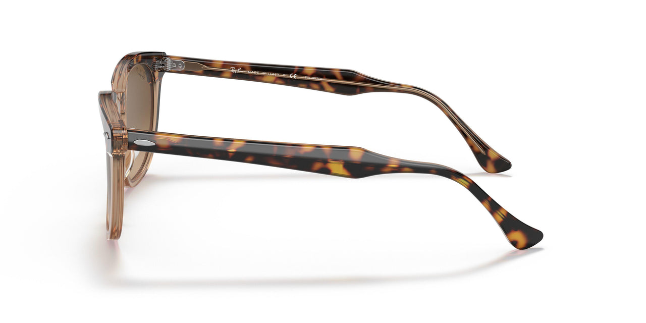 1292M2 - Havana - Brown Gradient Polar