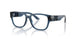 3009 - Blue
