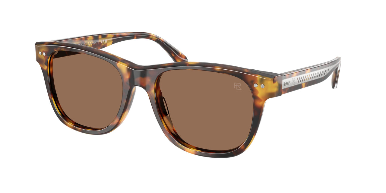 513473 - Tortoise - Brown