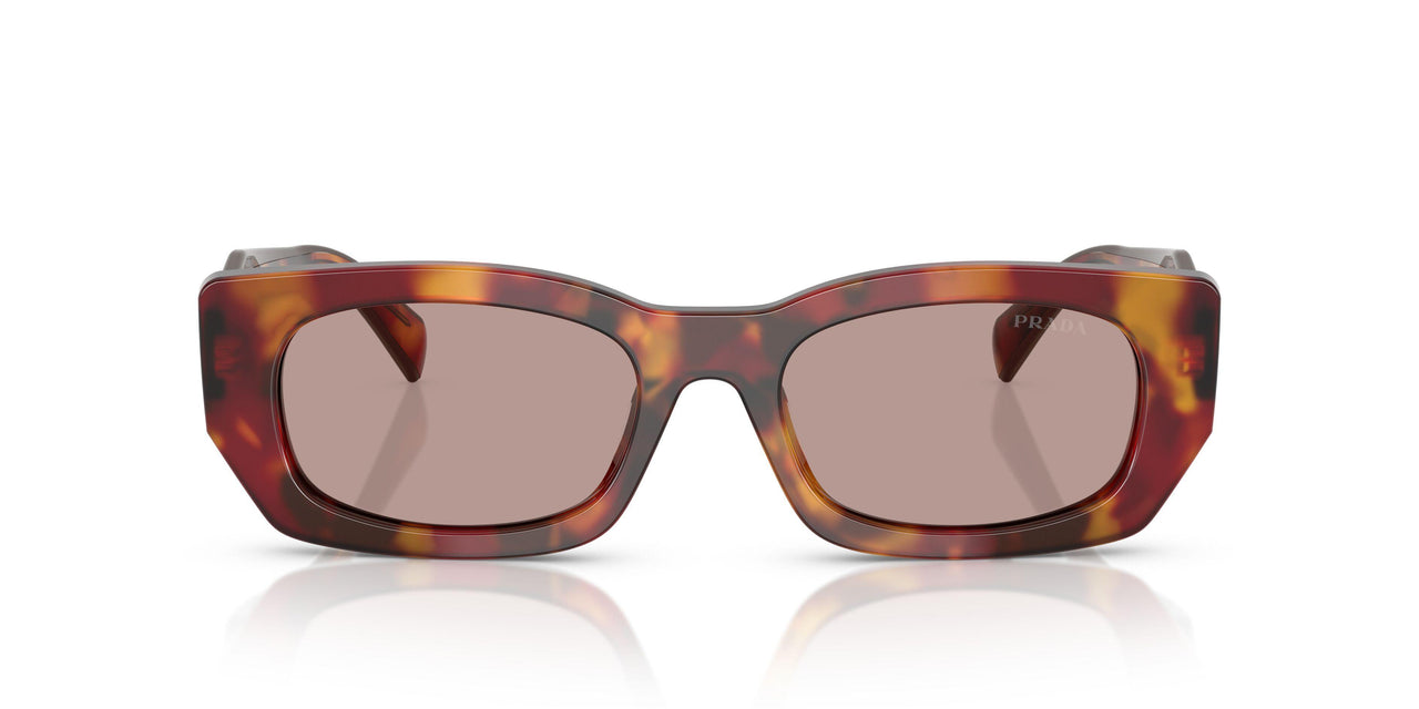22A20I - Tortoise - Light Purple Brown