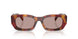 22A20I - Tortoise - Light Purple Brown