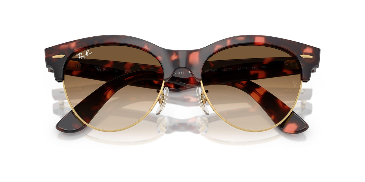 143251 - Havana - Clear Gradient Brown