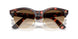 143251 - Havana - Clear Gradient Brown