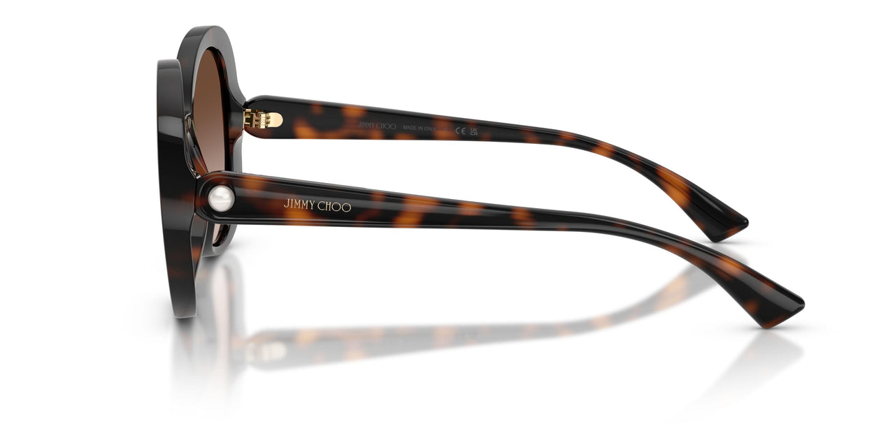 500213 - Tortoise - Brown Gradient