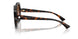 500213 - Tortoise - Brown Gradient