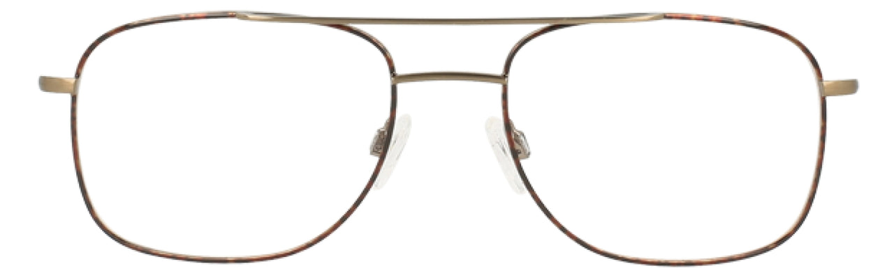 Grey - Tortoise