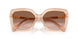 106313 - Brown - Brown Gradient