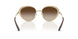 344113 - Brown - Brown Gradient