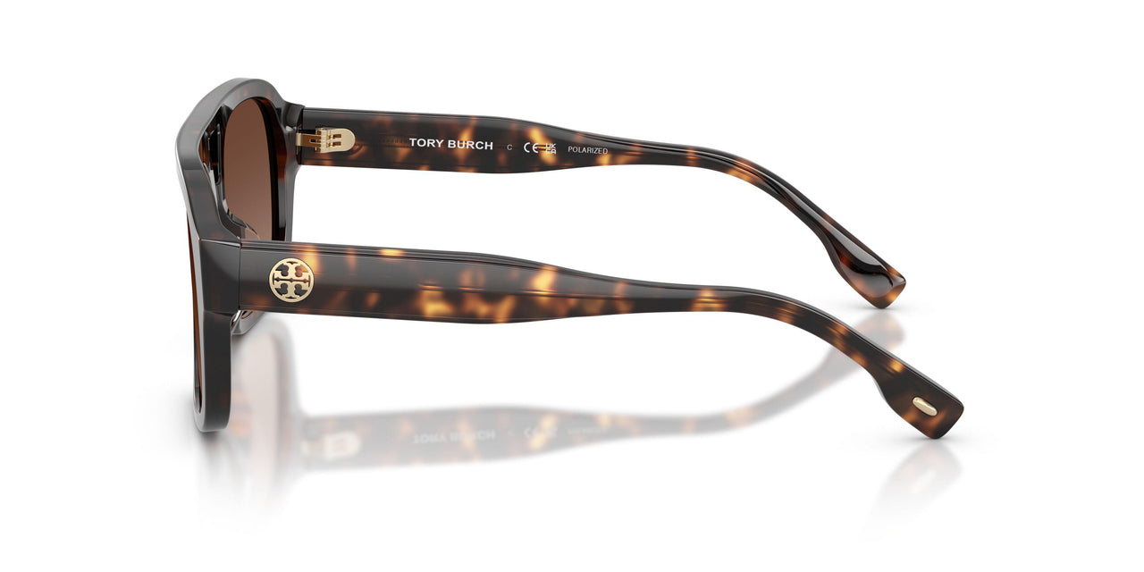 1964T5 - Tortoise - Polar Light Brown Gradient