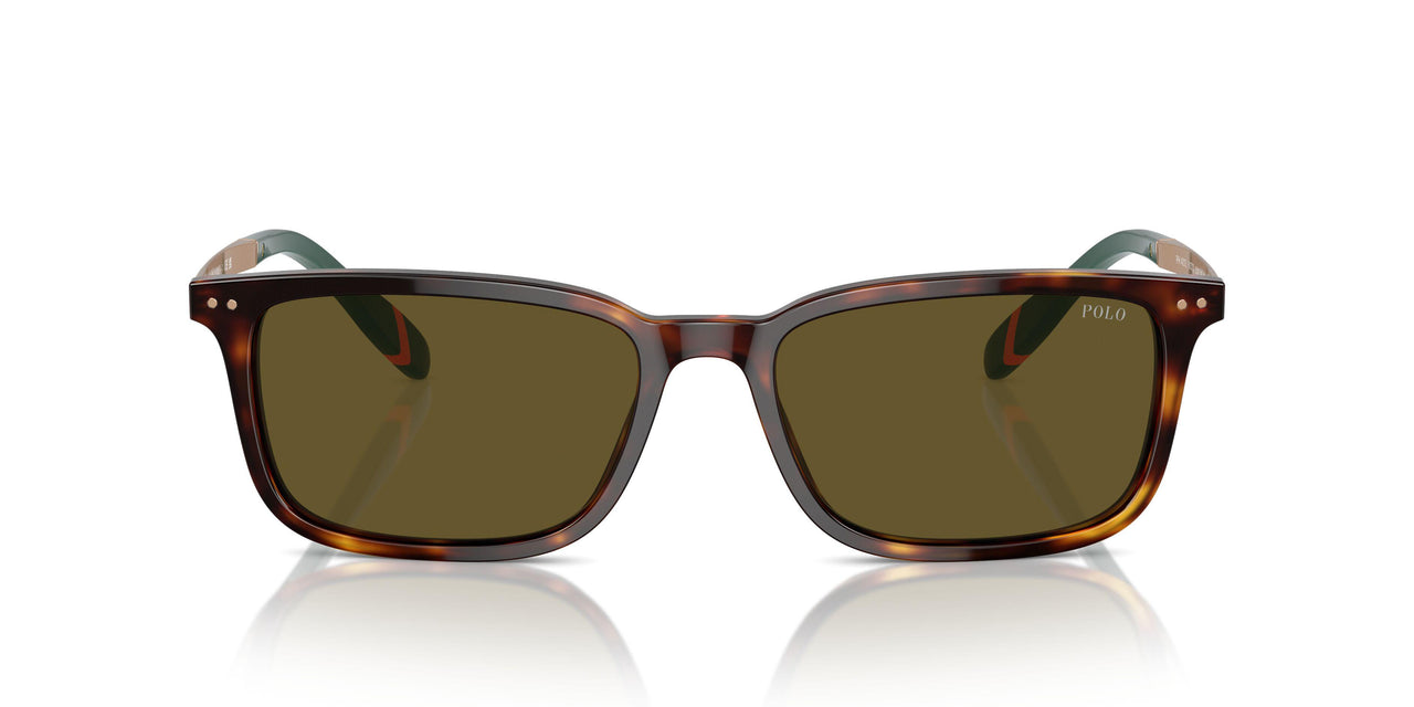 613773 - Tortoise - Olive Green