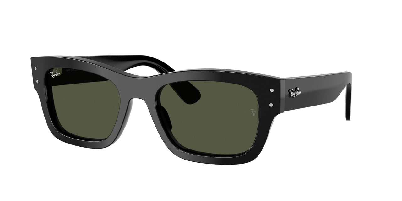 Ray-Ban Joseph 7683S Sunglasses