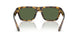 333071 - Tortoise - Dark Green
