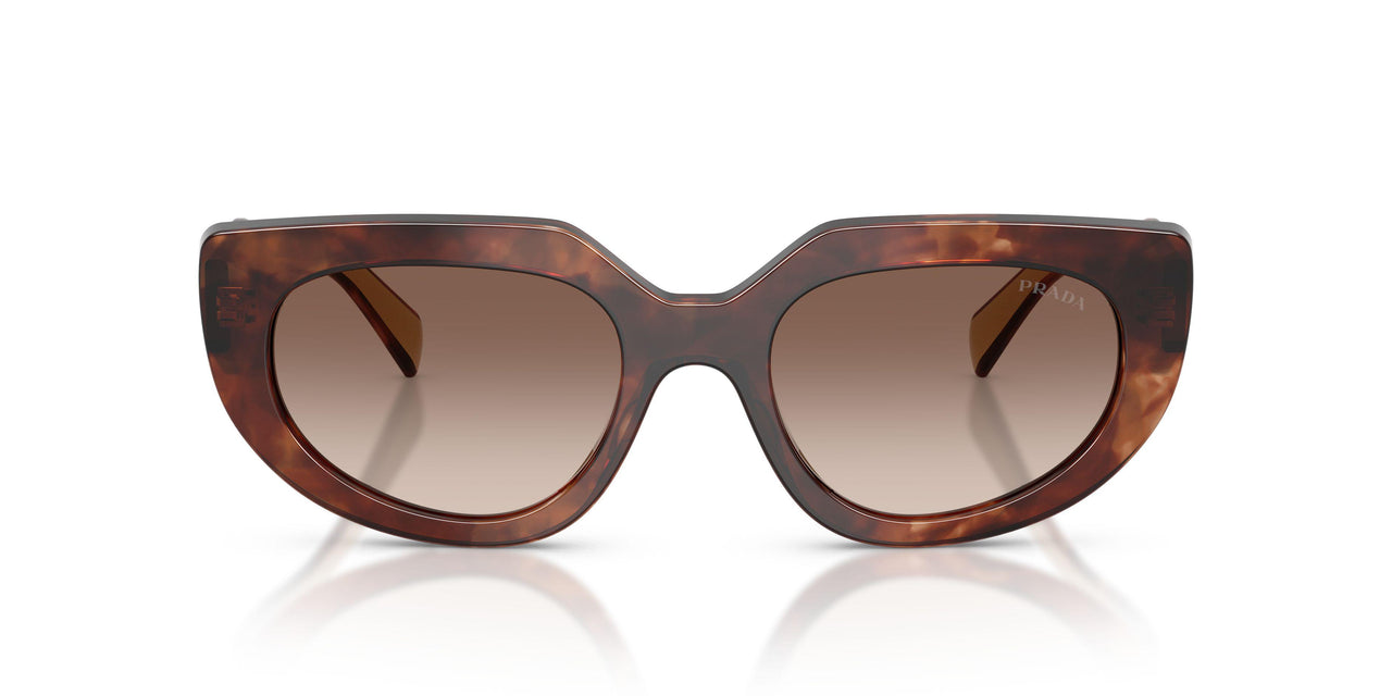 00K10S - Tortoise - Brown Gradient
