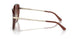 354813 - White - Brown Sunset Gradient