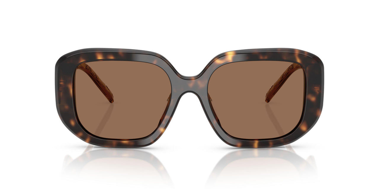 196473 - Tortoise - Brown
