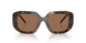 196473 - Tortoise - Brown