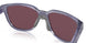 925007 - Violet - Prizm Road