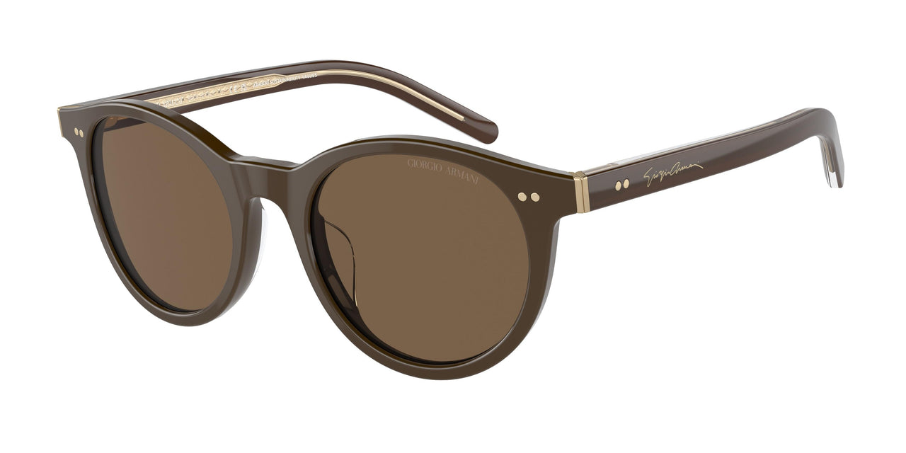 Giorgio Armani 8199U Sunglasses