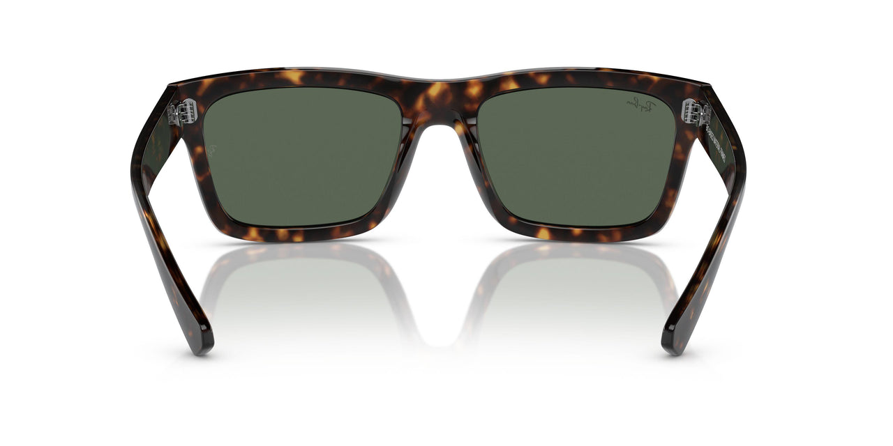 135971 - Tortoise - Dark Blue