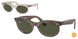 Ray-Ban Wayfarer Oval 2242F Sunglasses