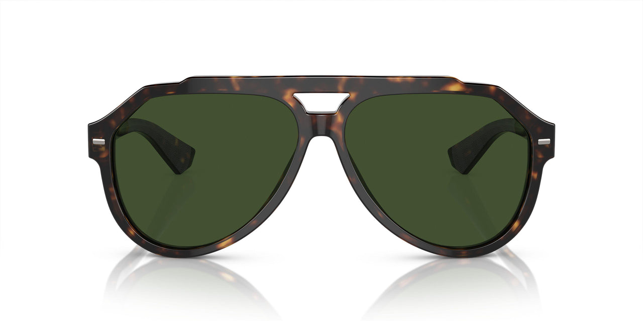 502/71 - Tortoise - Dark Green
