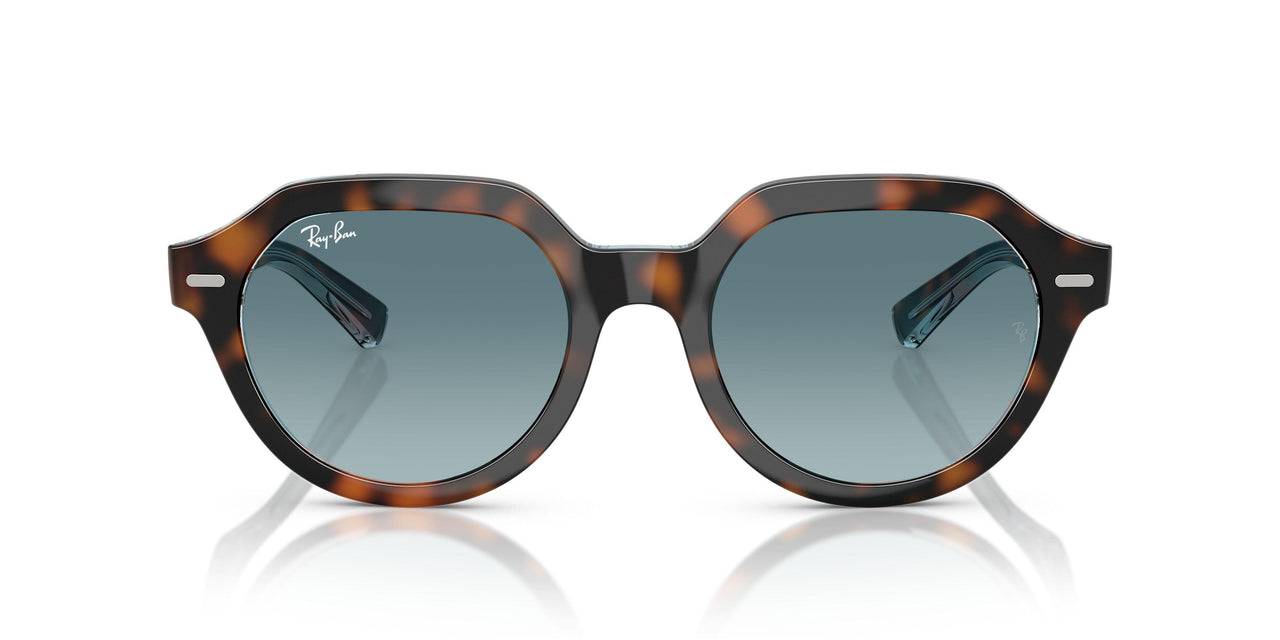 14133M - Tortoise - Blue Gradient Grey