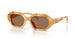 207473 - Orange - Brown