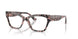 3150 - Tortoise