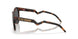 924225 - Tortoise - Prizm Black