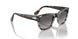 1159M3 - Havana - Gradient Grey Polar