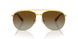 4004T5 - Gold - Polar Gradient Brown