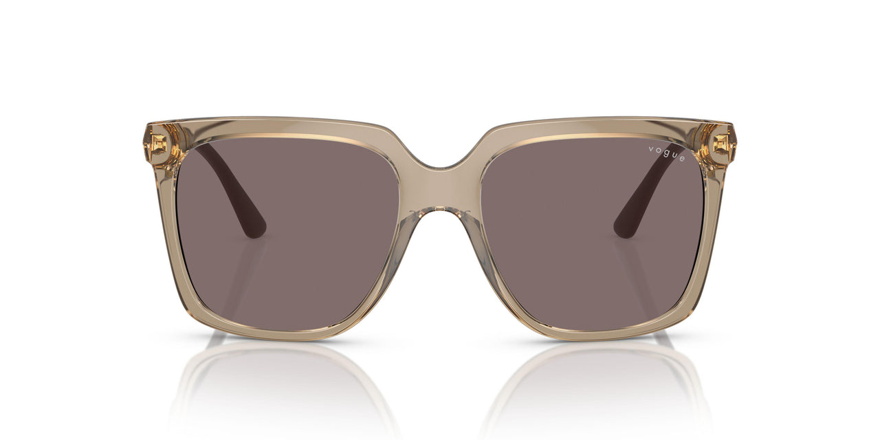 29407N - Brown - Violet