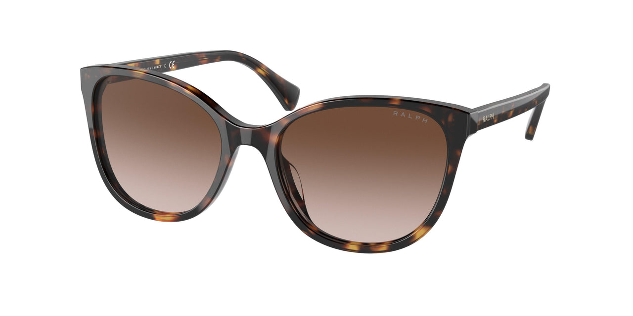 500313 - Havana - Brown Gradient