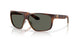 912805 - Tortoise - Gray