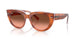 1415A5 - Tortoise - Pink Gradient Brown