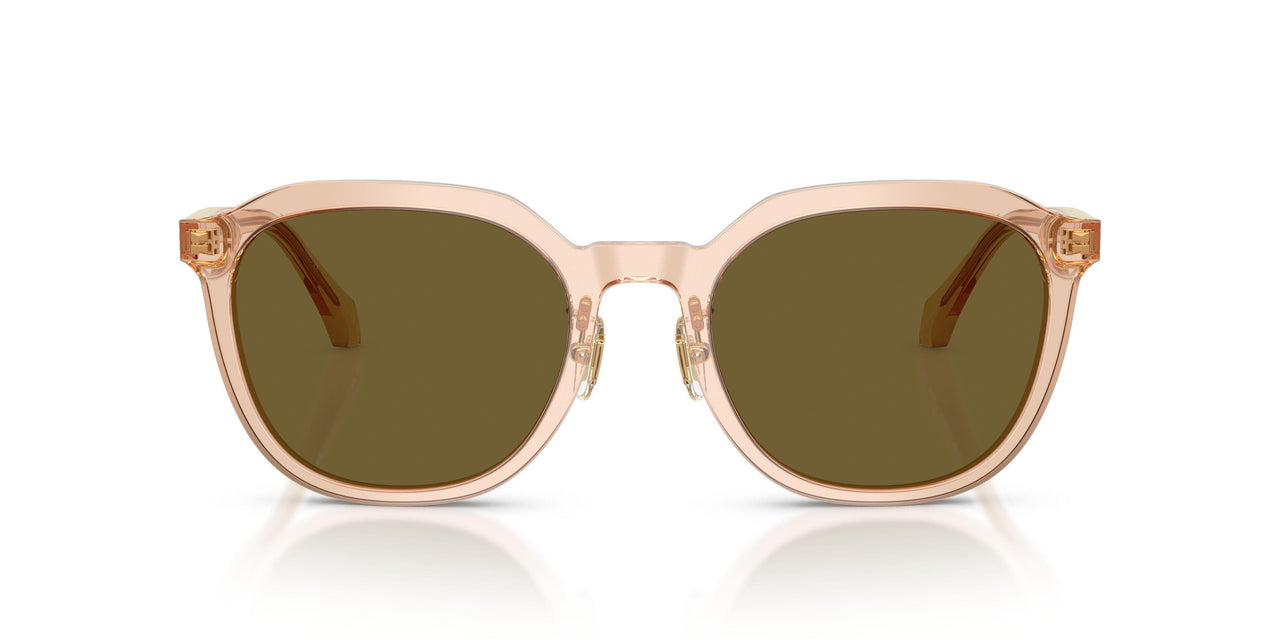 551883 - Brown - Dark Brown