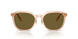 551883 - Brown - Dark Brown