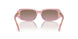619914 - Pink - Brown Rose