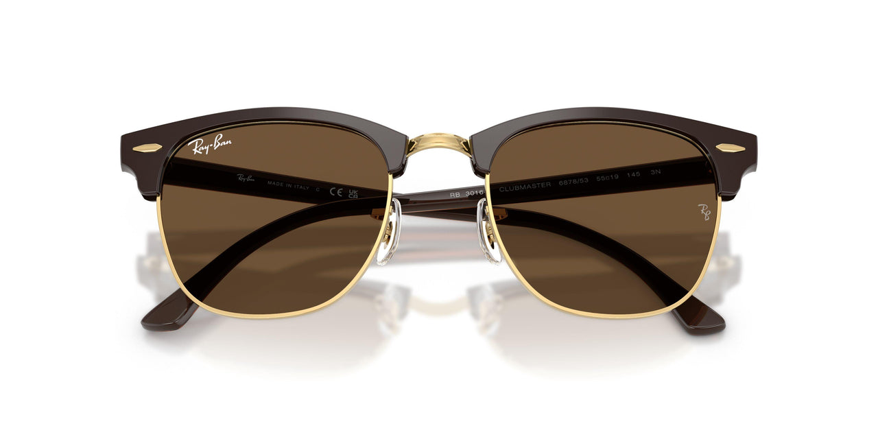 687853 - Brown - Dark Brown