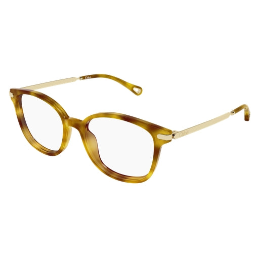 002 - Havana/Gold - Transparent