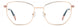 0DDB-00 - GOLD COPP