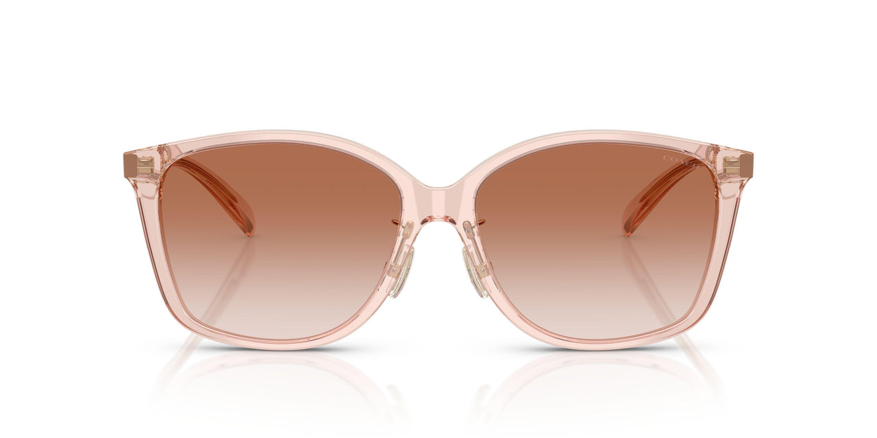 566813 - Pink - Brown Pink Gradient