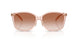 566813 - Pink - Brown Pink Gradient
