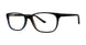 BLTRTS - Blue/Tortoise