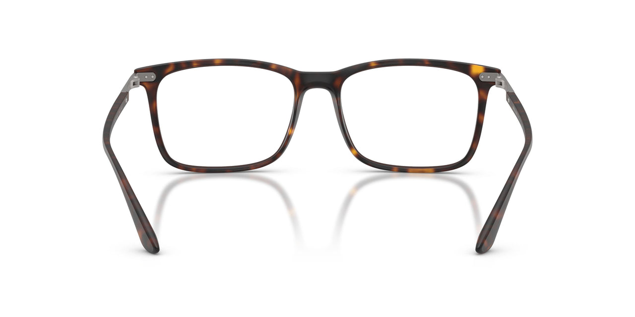 6417 - Tortoise