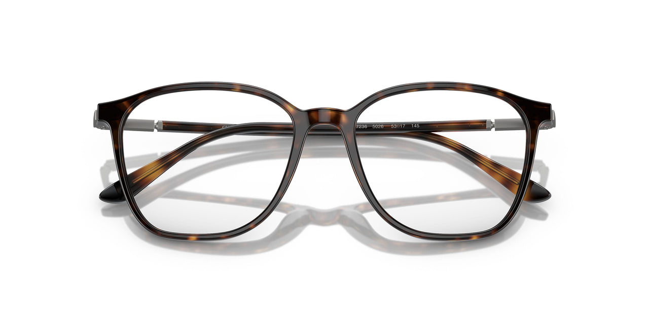 5026 - Tortoise
