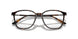 5026 - Tortoise