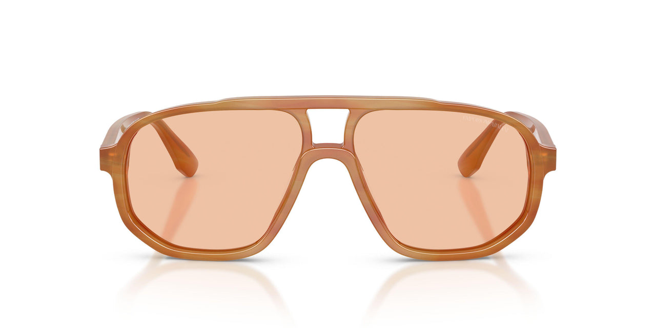 632873 - Brown - Light Brown